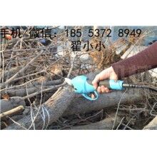 全自動修枝剪，高效又省力