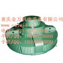 T、TL系列電機(jī)